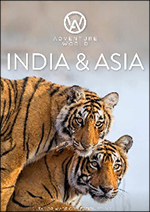 AW india asia